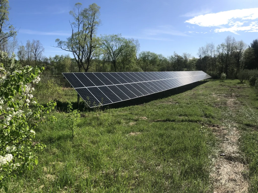 Long solar panel ground mount in a wooded field